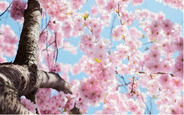 Decluttering Projects to Tackle Before Spring Arrives   