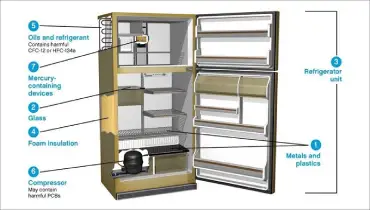 fridge-cut-away-graphic