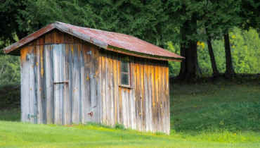 Start that Shed Clean-out Project with These Easy Steps